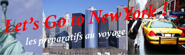 Bannière go to new york