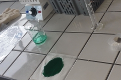 fs3